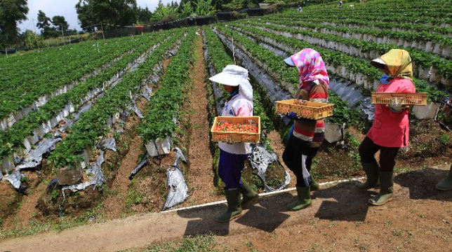 Berikut yang termasuk hubungan antara perubahan sosial dengan perubahan kebudayaan adalah