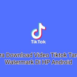 2 Cara Download Video Tiktok Tanpa Watermark Di HP Android