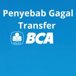Penyebab Gagal Transfer BCA ke DANA