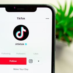 Request Verified Tiktok