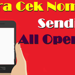 Cara Cek Nomor Telepon Saya