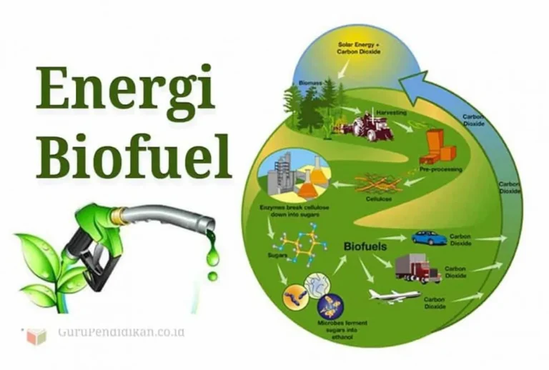 Biofuel: Energi Hijau untuk Lingkungan Lebih Berkelanjutan