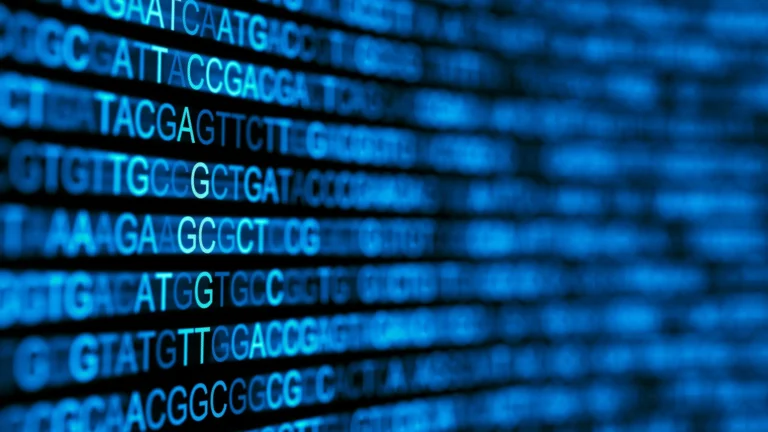 Bioinformatika dan Pemahaman Penyakit Genetik
