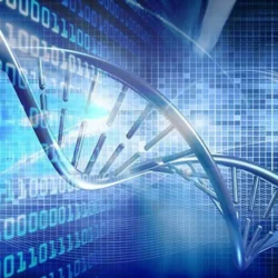 Mengungkap Misteri Gen: Bioinformatika dan Transformasi Teknologi Informasi dalam Studi Biologi