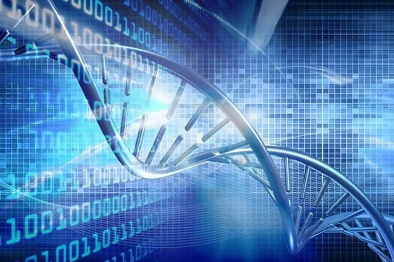 Bioinformatika dan Perannya dalam Genetika Modern