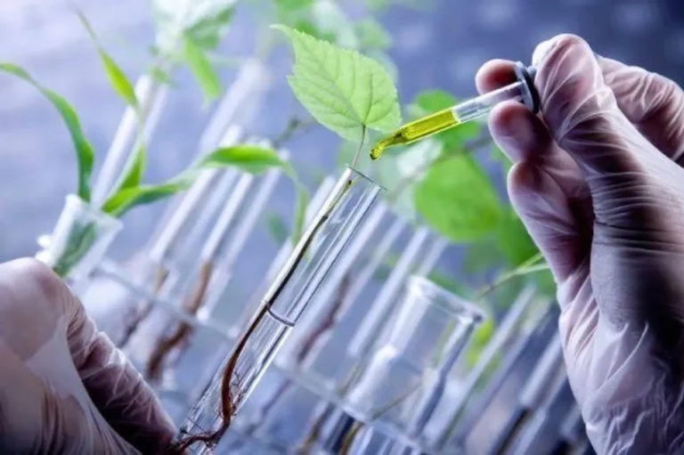 Dampak Biotechnology di Berbagai Sektor