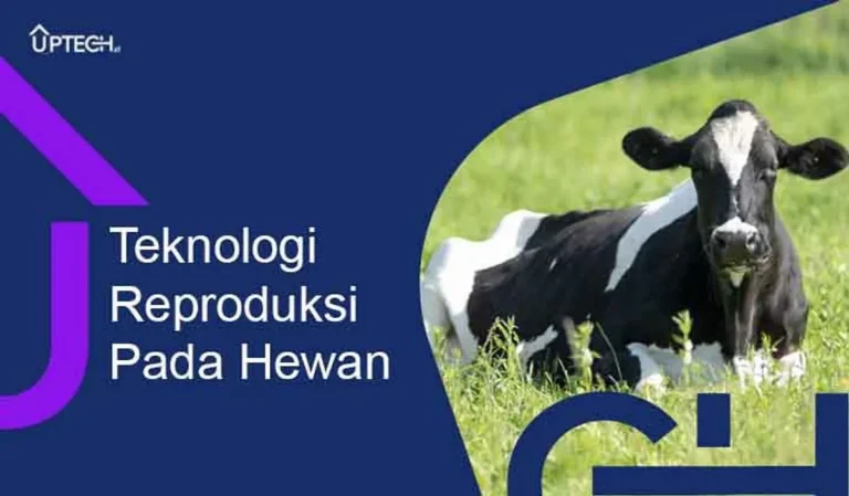 Etika di Balik Teknologi Reproduksi Hewan