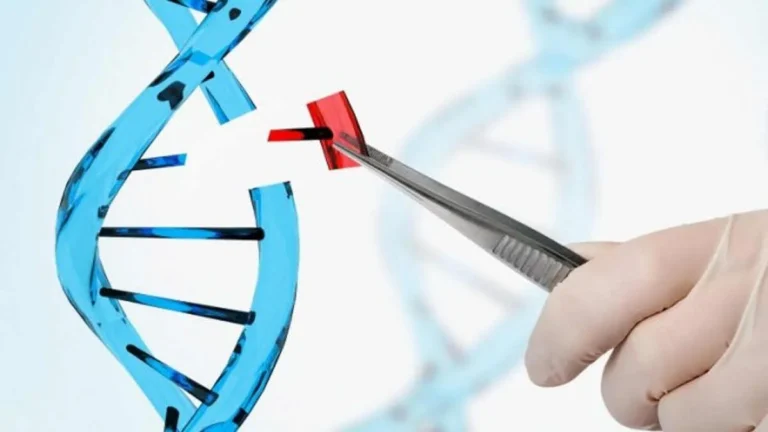 Etika Rekayasa Genetika Membahas Tantangan Etika dalam Manipulasi Genetika