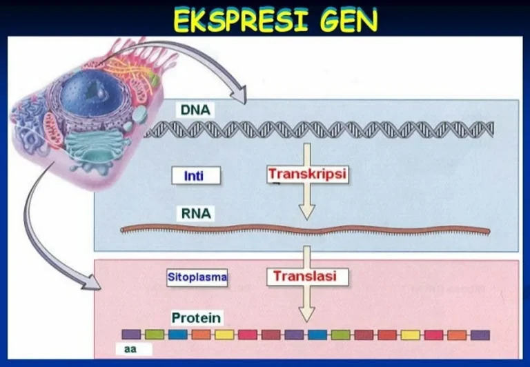 Inovasi Bioinformatika untuk Pengembangan Penelitian Biologi