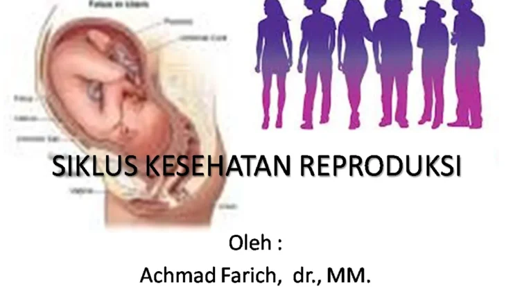 Inovasi Teknologi dalam Pemahaman Sistem Reproduksi