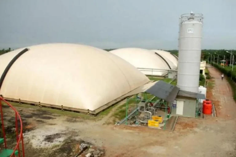 Jenis-jenis Sumber Limbah Organik untuk Biogas