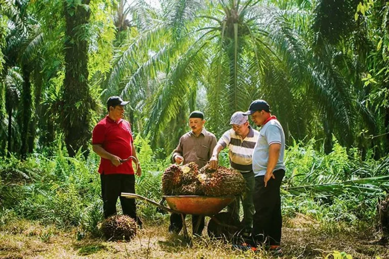 Keberlanjutan Lingkungan dalam Inovasi Teknologi Perkebunan