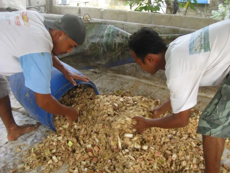 Keunggulan Ekonomi dan Lingkungan Teknologi Fermentasi