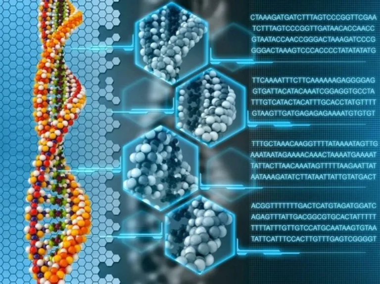 Kontribusi Bioinformatika terhadap Kesehatan dan Pengobatan