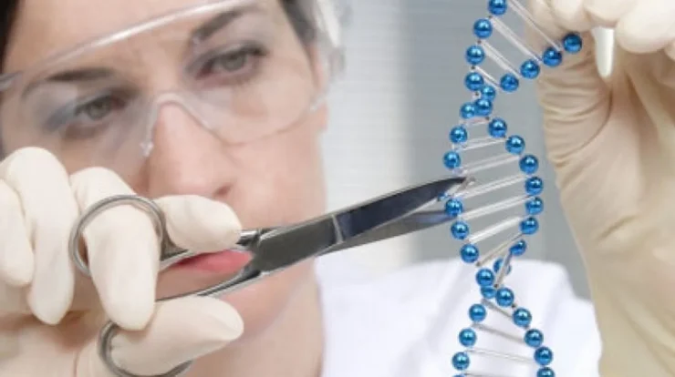 Membongkar Keajaiban Biotechnology