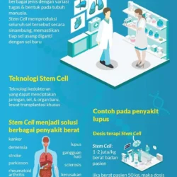 Membongkar Teknologi Stem Cell