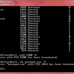 Solusi Ampuh Mengatasi Checking File System on C