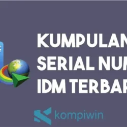 Solusi Praktis Mengatasi Masalah Serial Number IDM