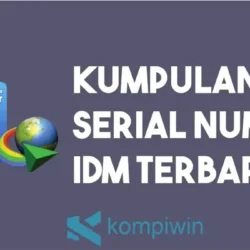 Mengatasi Masalah Serial Number IDM