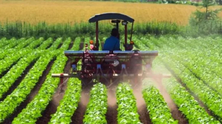 Peluang Karir di Bidang Teknologi dan Manajemen Produksi Perkebunan