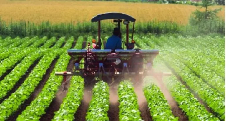 Peluang Karir di Bidang Teknologi dan Manajemen Produksi Perkebunan