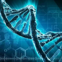 Penerapan Bioinformatika dalam Riset Genetika