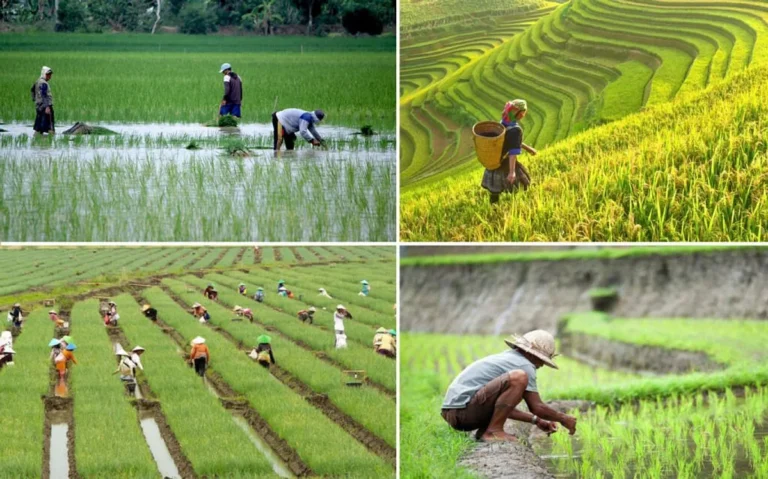 Pengembangan Terbaru dalam Pertanian Ramah Lingkungan