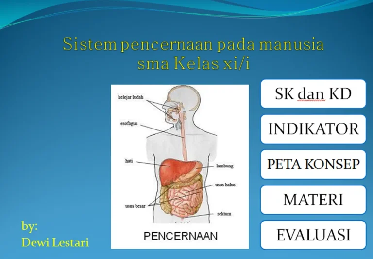 Peran Teknologi dalam Pemahaman Pencernaan