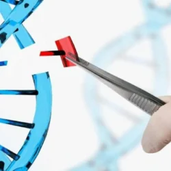 Menjelajahi Etika Rekayasa Genetika: Implikasi Moral dalam Manipulasi Genetika