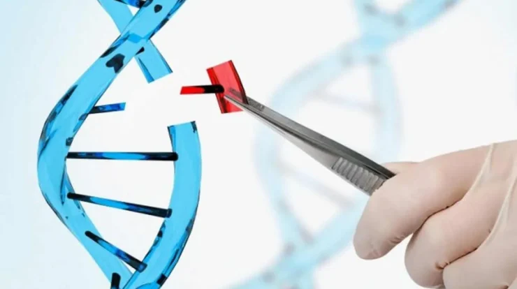Menjelajahi Etika Rekayasa Genetika: Implikasi Moral dalam Manipulasi Genetika