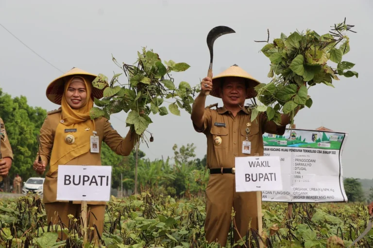 Pertanian Cerdas Mengoptimalkan Hasil dengan Teknologi Canggih