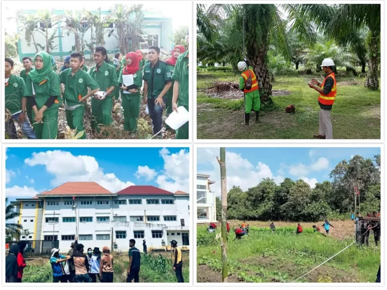 Prospek Pekerjaan di Manajemen Produksi Perkebunan