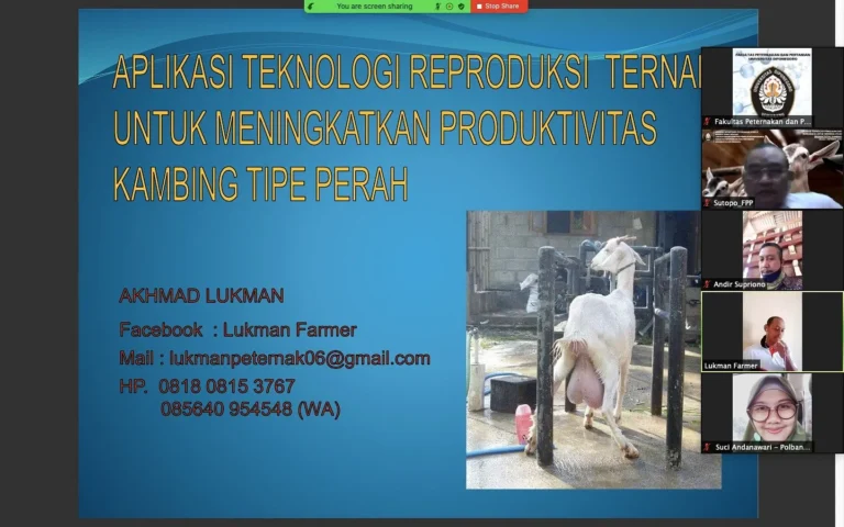 Tantangan Masa Depan dalam Teknologi Reproduksi Ternak