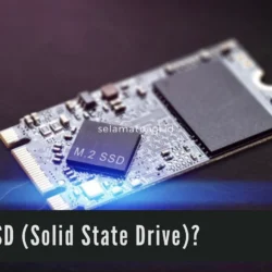 Tinjauan SSD Kecepatan dan Kapasitas
