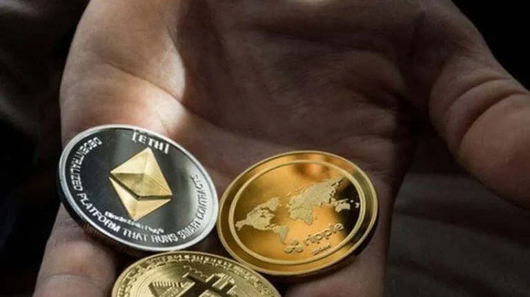 Tips Langkah demi Langkah untuk Pemula
